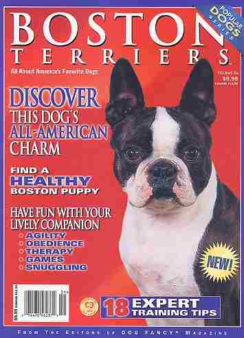 Boston Terrier dogs for sale AKC