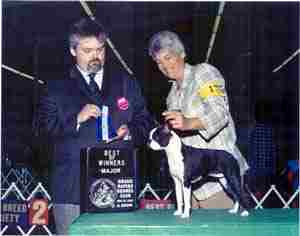 2003 Boston Terrier champion