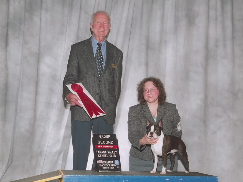 Boston Terrier Champion Tanana Valley Kennel Club, Rinehart Photography 