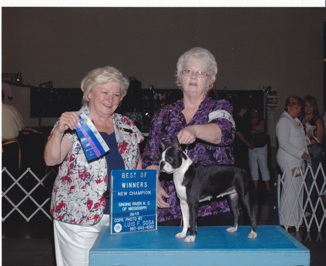 Best of Winners New Champion - Singing River Kennel Club Mississippi