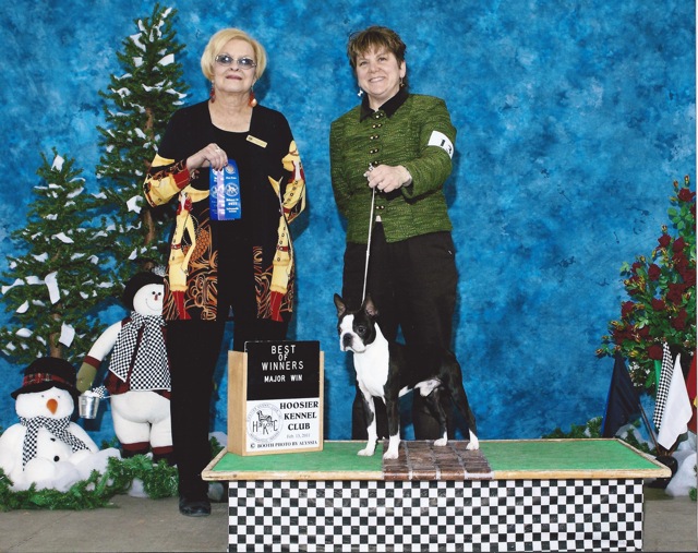 Best of Winner Hoosier Kennel Club Boston Terrier Deb Ecarius