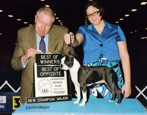 Best of Winners, Best of Opposite Loisville Kennel Club Mississippi