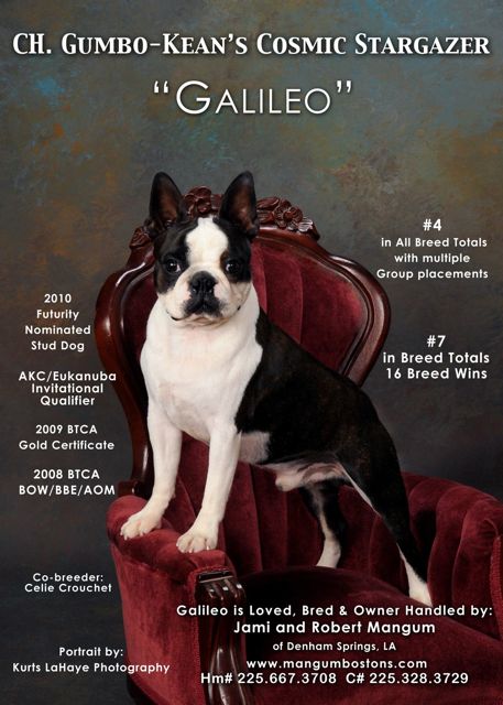 GCH CH Gumbo-Kean's Cosmic Stargazer "Galileo"
