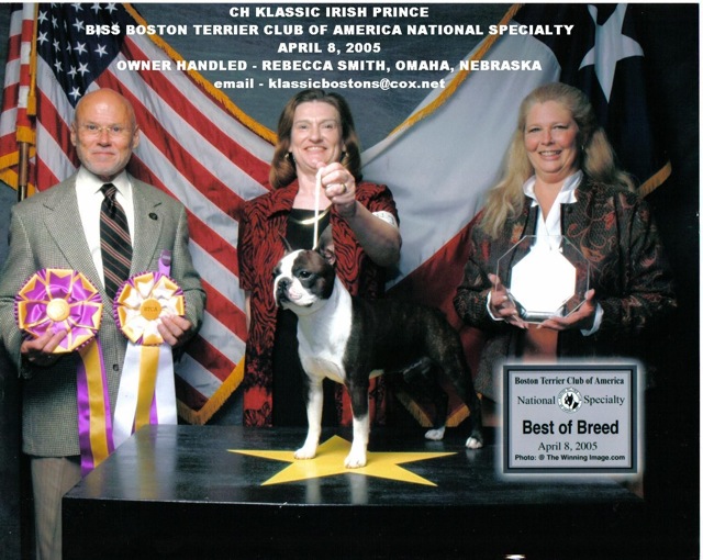 BH Boston Terrier: top ten non sporting dogs