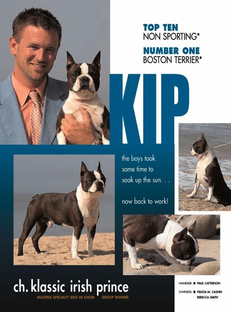 BIS, BISS, CH Klassic Irish Prince Winner of Eukanube, Westminster, BTCA