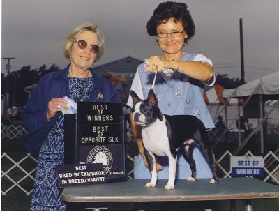 Best of Winners, Best of Opposite Sex, Best Bred by Exhibitor ~ Boston Terrier