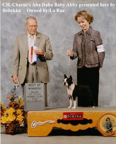 Best of Winners, Major, Tri-State Kennel Club ~ photo by Melia