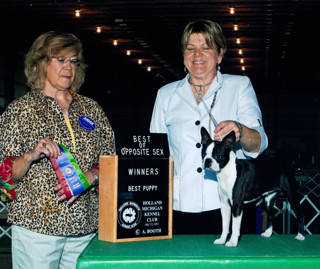 Jeri Good, Boston Terriers  Best Puppy, Best of Opposite Sex Holland Michigan Kennel Club