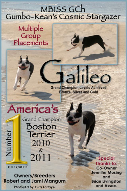 GCH CH Gumbo-Kean's Cosmic Stargazer "Galileo"