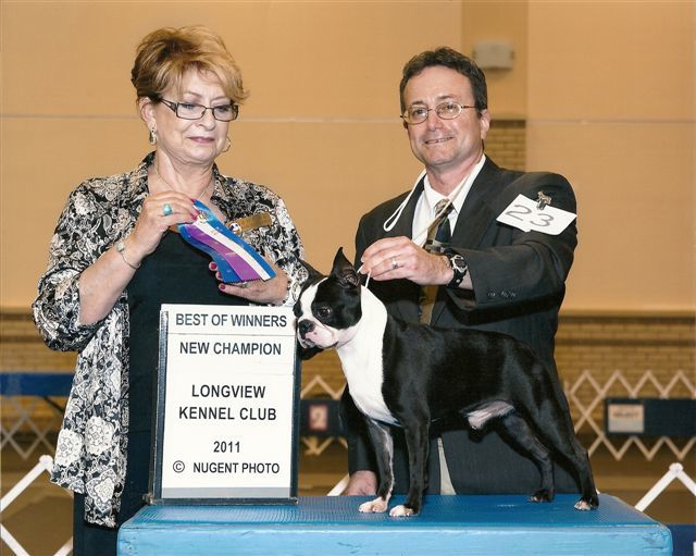 Best of Winners - New Champion Longview Kennel Club