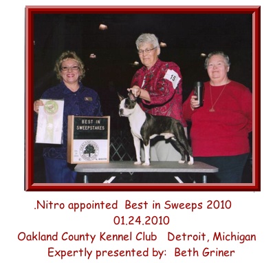 Best in Sweeps 2010 Boston Terrier