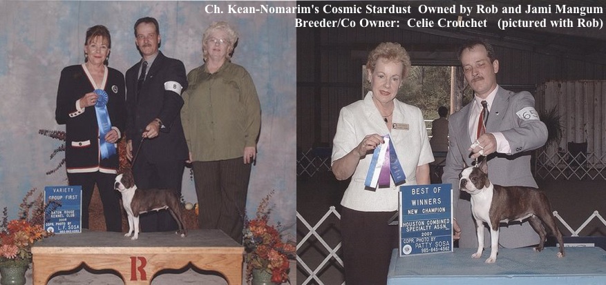 Best of Winners, Major, Tri-State Kennel Club ~ photo by Melia